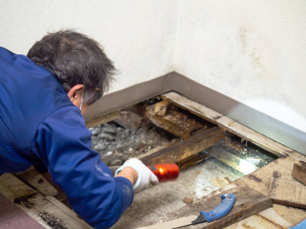 Best Bathroom Mold Remediation in Florence, SC